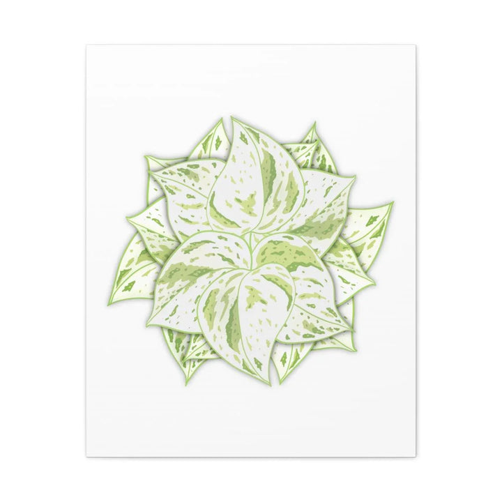 Snow Queen Pothos Canvas – Variegated Leaf Canvas Art Print | Durable Cotton - Laura Christine Photography & Design