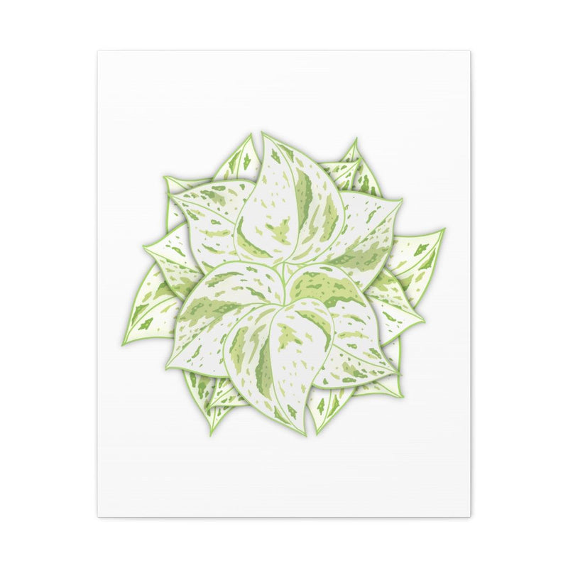 Snow Queen Pothos Canvas, Canvas, Laura Christine Photography & Design, Art & Wall Decor, Canvas, Hanging Hardware, Home & Living, Indoor, Laura Christine Photography & Design, 