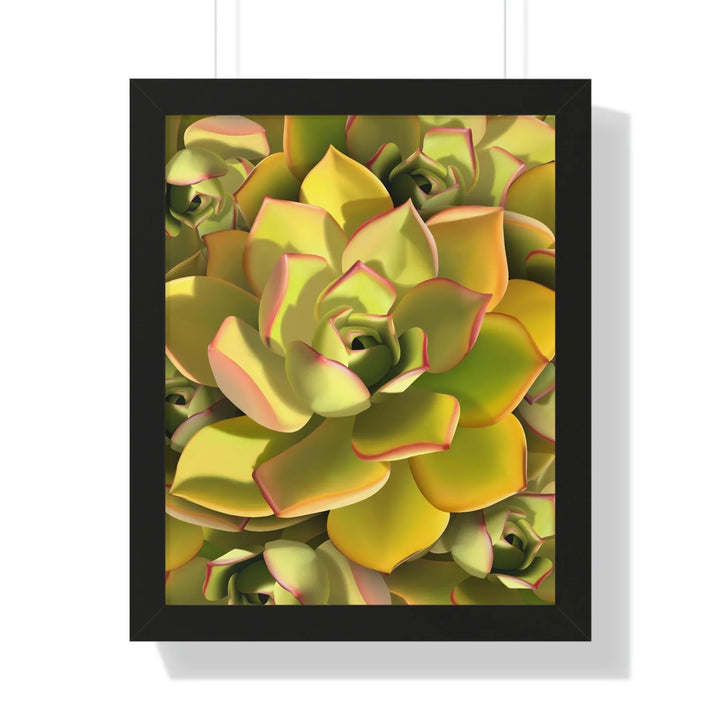 Noble Aeonium Succulent Pattern Framed Print, Poster, Printify, Framed, Home & Living, Indoor, Paper, Posters, Laura Christine Photography & Design, laurachristinedesign.com