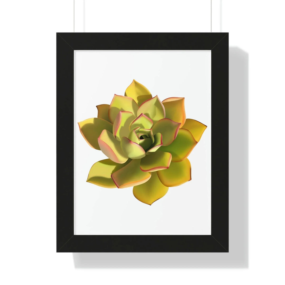 Noble Aeonium Succulent Framed Print, Poster, Printify, Framed, Home & Living, Indoor, Paper, Posters, Laura Christine Photography & Design, laurachristinedesign.com