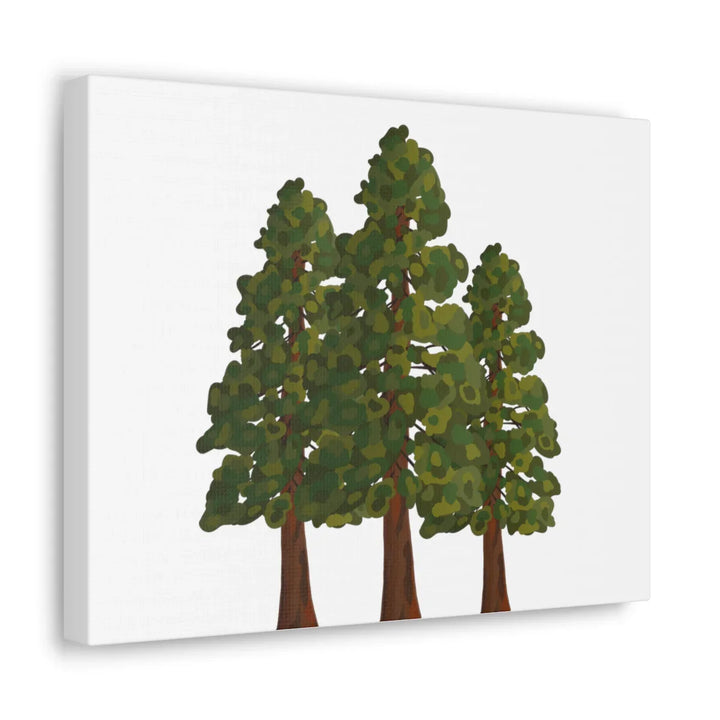Coastal Redwoods Canvas - Stretched Cotton Canvas Art Print | Matte Finish Wall Hanging Artwork
