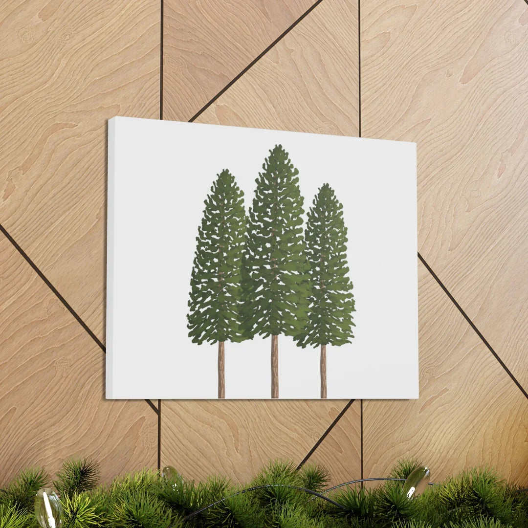 Ponderosa Pine Canvas - Large Stretched Cotton Canvas Art Print With Matte Finish