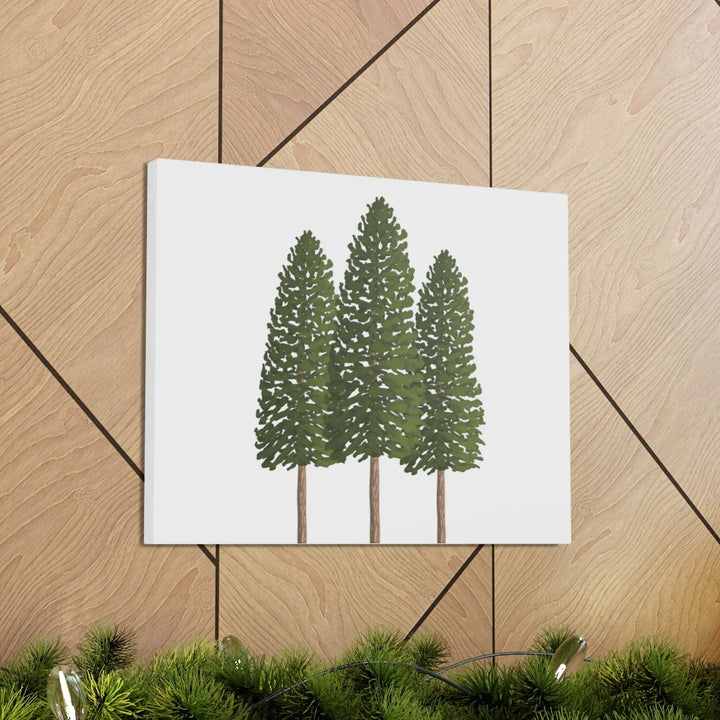 Ponderosa Pine Canvas - Large Stretched Cotton Canvas Art Print With Matte Finish