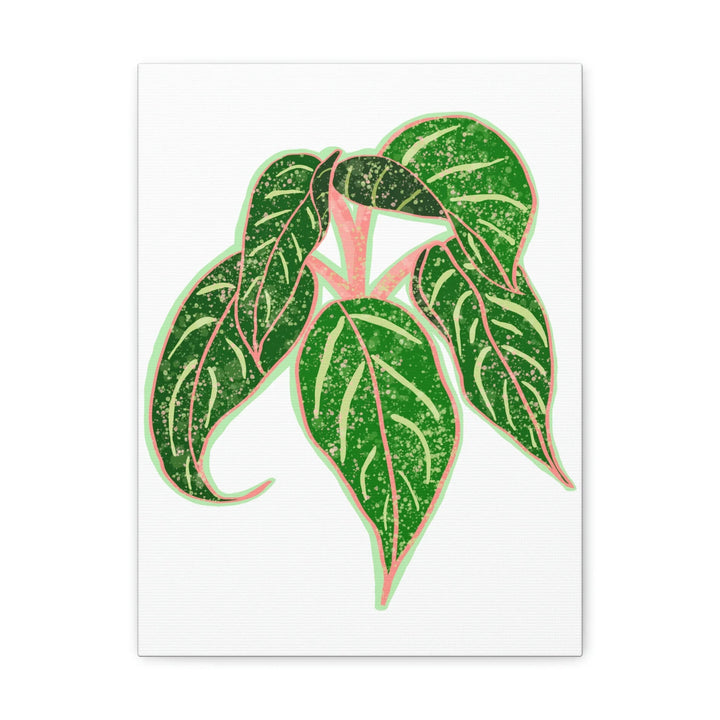 Aglaonema Plant Canvas | Sparkling Plant Artwork - Colorfast Canvas Art Print Decor