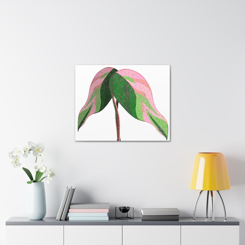 Pink Princess Philodendron Canvas