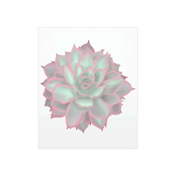 Echeveria Violet Queen Print – Succulent Wall Art | Botanical Poster On Museum Grade Paper