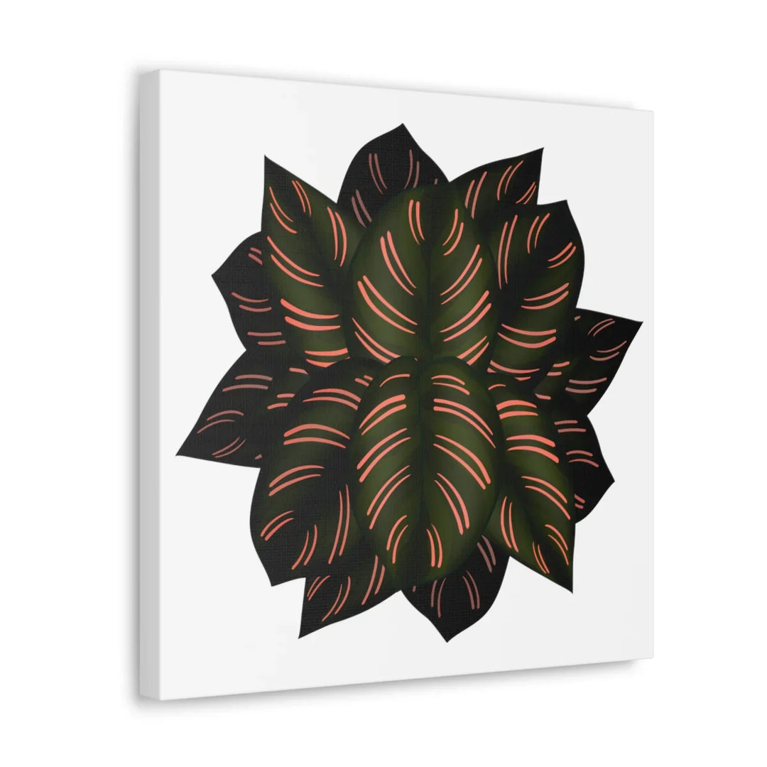 Calathea Pinstripe Canvas – Botanical Canvas Art Print | Matte Finish Wall Decor