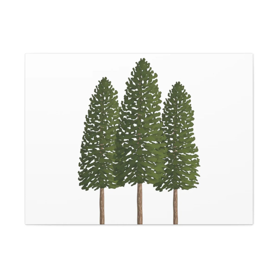 Ponderosa Pine Canvas - Large Stretched Cotton Canvas Art Print With Matte Finish