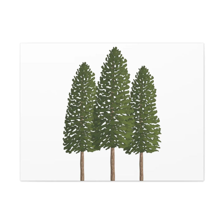 Ponderosa Pine Canvas - Large Stretched Cotton Canvas Art Print With Matte Finish