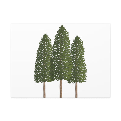 Ponderosa Pine Canvas