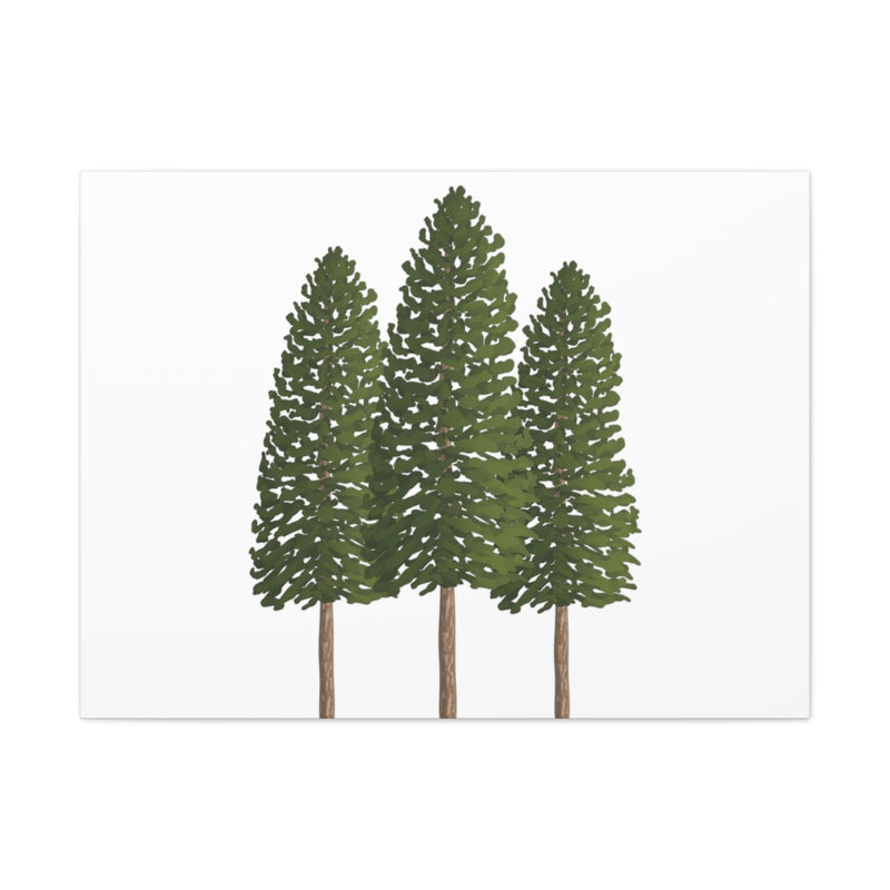 Ponderosa Pine Canvas