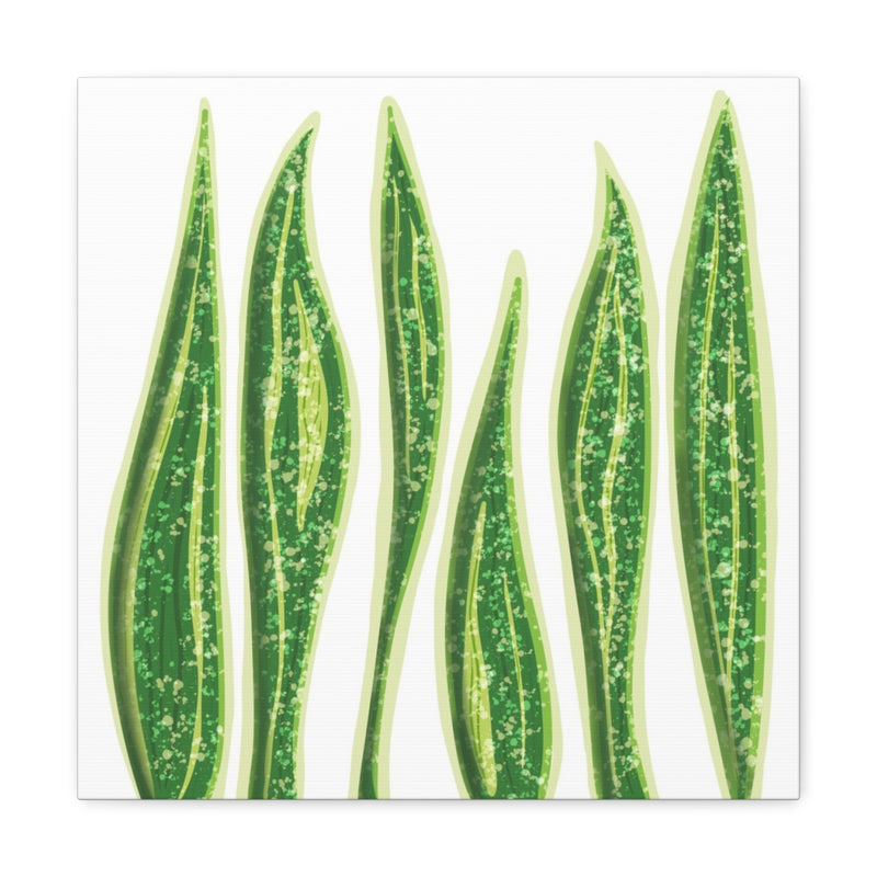 Snake Plant Canvas