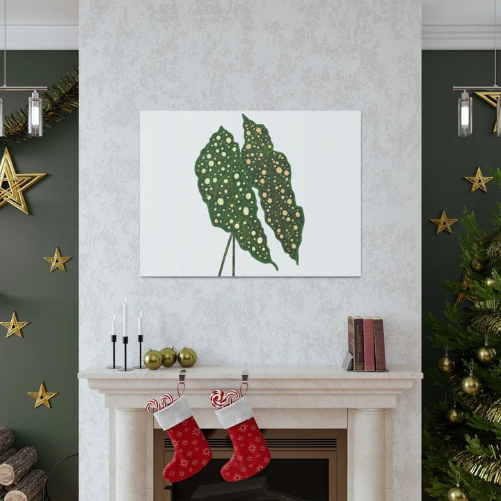 Begonia Maculata Canvas | Premium Canvas Art Print - Matte Finish, Durable Wall Decor - Laura Christine Photography & Design
