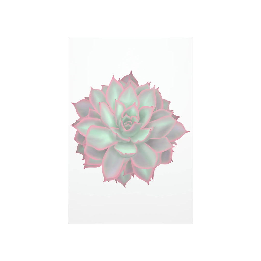 Echeveria Violet Queen Print – Succulent Wall Art | Botanical Poster On Museum Grade Paper