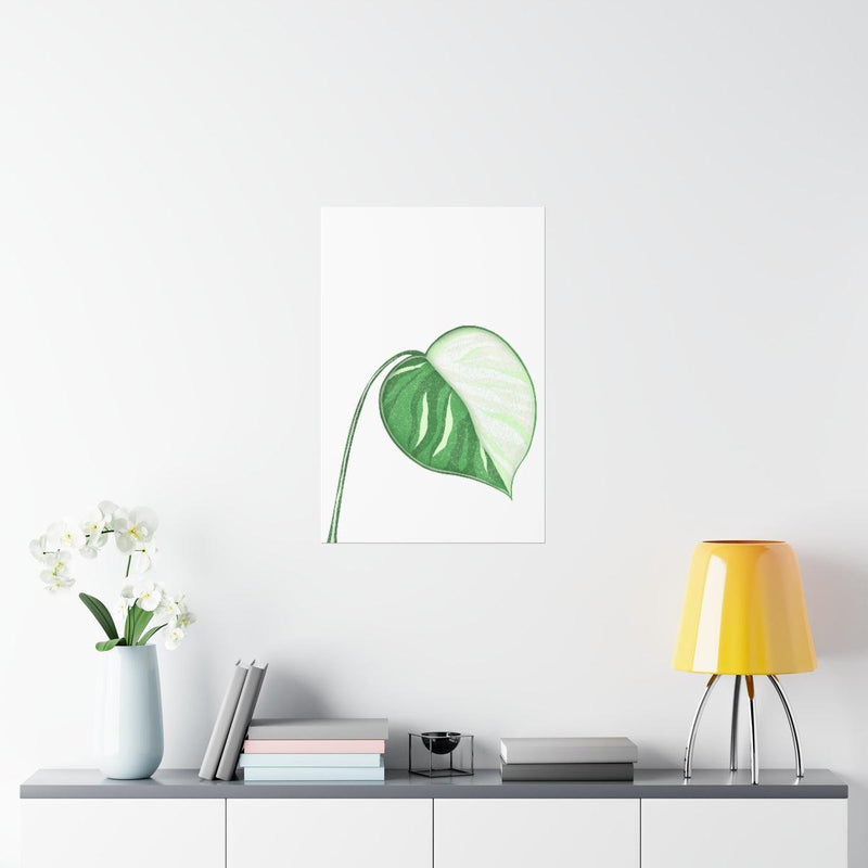 Monstera Albo Print, Poster, Laura Christine Photography & Design, Back to School, Home & Living, Indoor, Matte, Paper, Posters, Valentine&