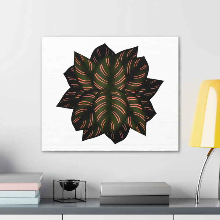Calathea Pinstripe Canvas – Botanical Canvas Art Print | Matte Finish Wall Decor