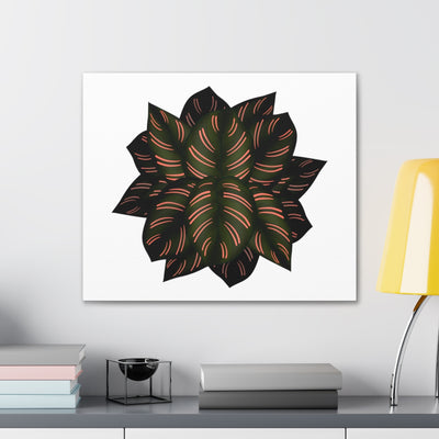 Calathea Pinstripe Canvas