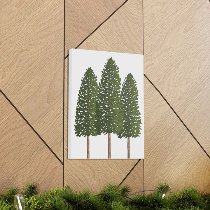 Ponderosa Pine Canvas - Large Stretched Cotton Canvas Art Print With Matte Finish