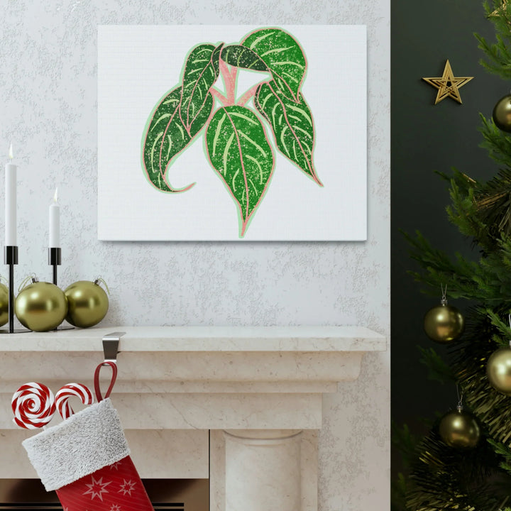 Aglaonema Plant Canvas | Sparkling Plant Artwork - Colorfast Canvas Art Print Decor