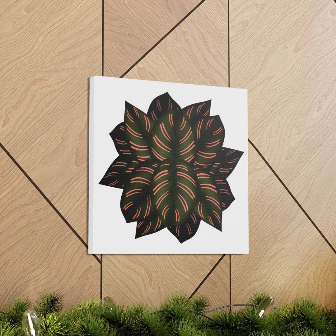 Calathea Pinstripe Canvas – Botanical Canvas Art Print | Matte Finish Wall Decor