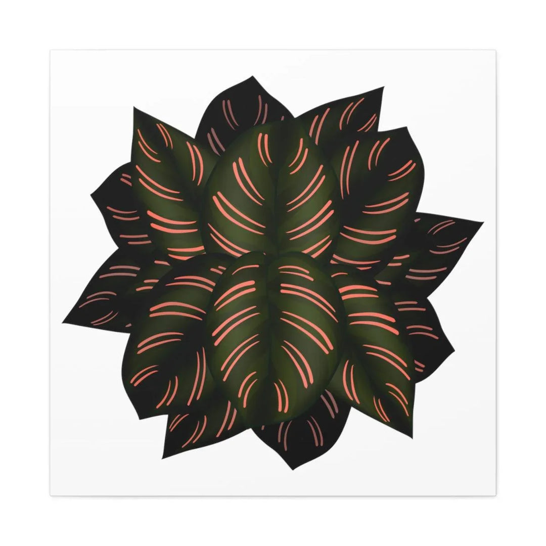 Calathea Pinstripe Canvas, Canvas, Laura Christine Photography & Design, Art & Wall Decor, Canvas, Hanging Hardware, Home & Living, Indoor, Laura Christine Photography & Design, laurachristinedesign.com