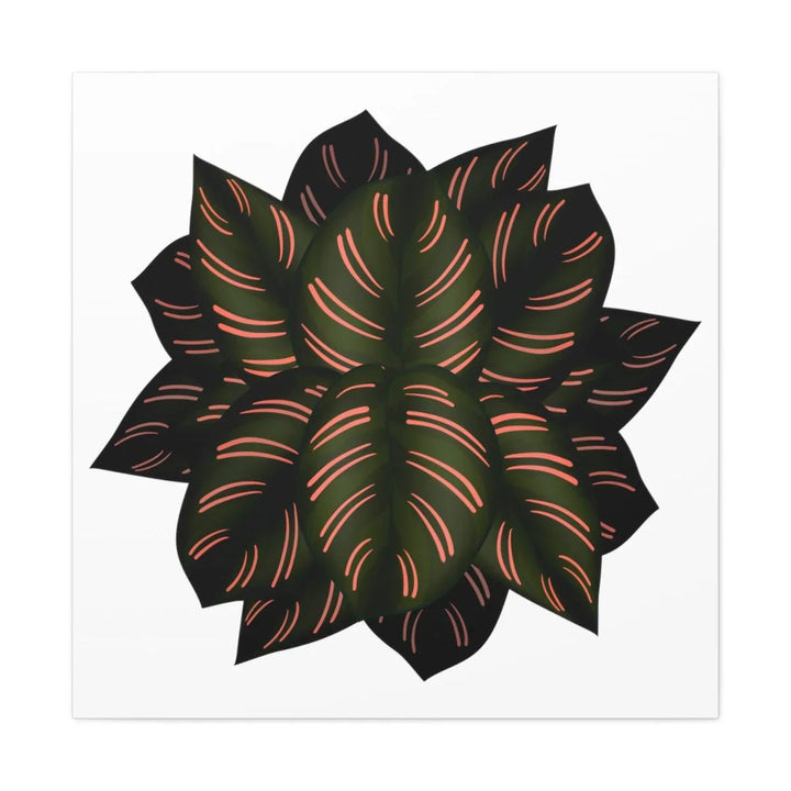 Calathea Pinstripe Canvas, Canvas, Laura Christine Photography & Design, Art & Wall Decor, Canvas, Hanging Hardware, Home & Living, Indoor, Laura Christine Photography & Design, laurachristinedesign.com