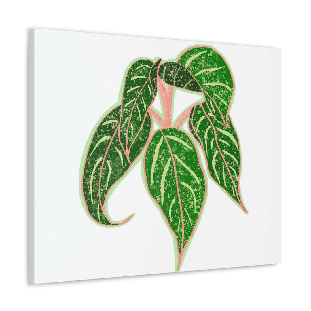Aglaonema Plant Canvas | Sparkling Plant Artwork - Colorfast Canvas Art Print Decor