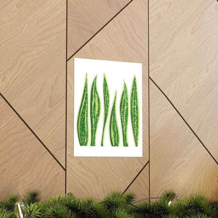 Snake Plant Print – Large Botanical Wall Art Poster | Matte Finish | Unframed