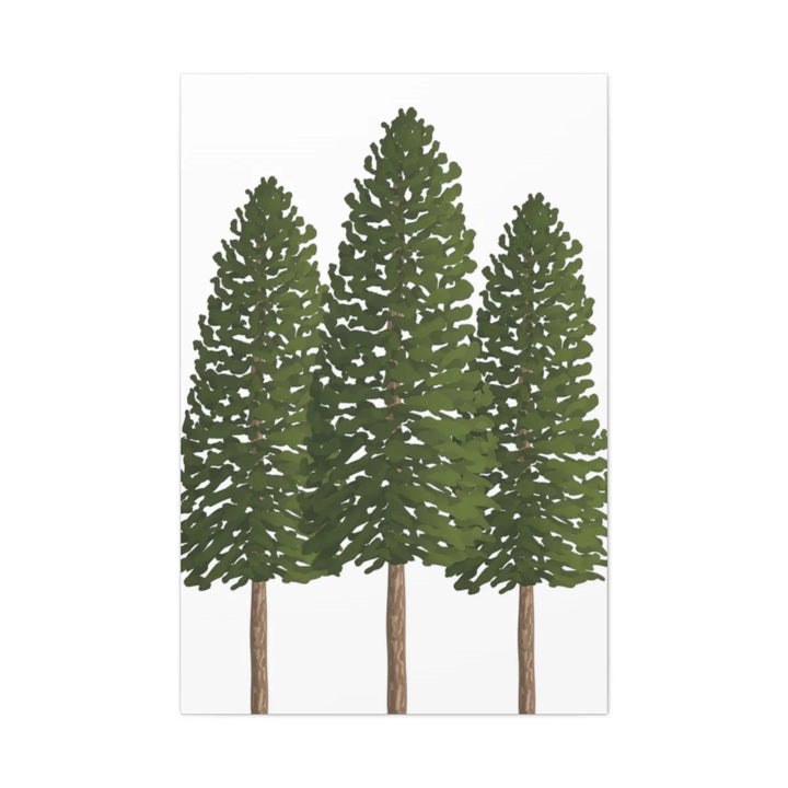 Ponderosa Pine Canvas - Large Stretched Cotton Canvas Art Print With Matte Finish