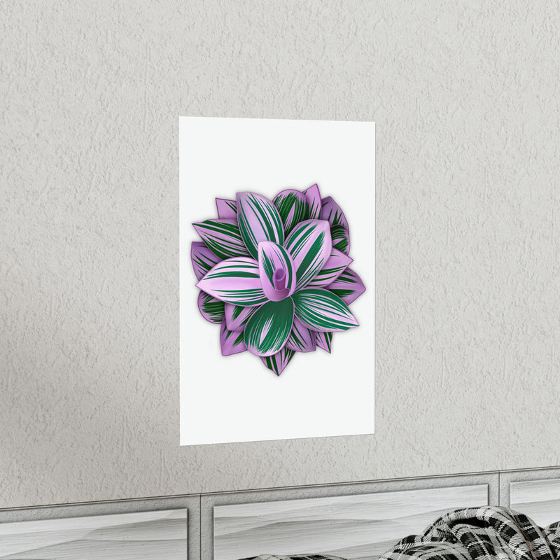 Tradescantia Nanouk Print