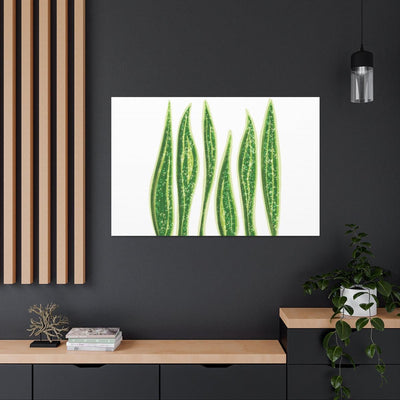 Snake Plant Canvas, Canvas, Laura Christine Photography & Design, Art & Wall Decor, Canvas, Hanging Hardware, Home & Living, Indoor, Laura Christine Photography & Design, laurachristinedesign.com