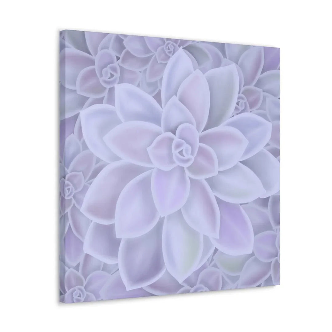 Graptopetalum 'Murasaki' Succulent Canvas, Canvas, Laura Christine Photography & Design, Art & Wall Decor, Canvas, Hanging Hardware, Home & Living, Indoor, Laura Christine Photography & Design, laurachristinedesign.com