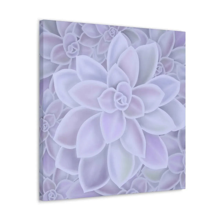 Graptopetalum 'Murasaki' Succulent Canvas, Canvas, Laura Christine Photography & Design, Art & Wall Decor, Canvas, Hanging Hardware, Home & Living, Indoor, Laura Christine Photography & Design, laurachristinedesign.com