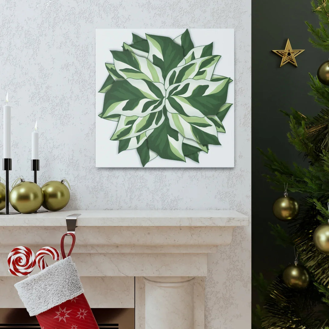 Calathea White Fusion Canvas | Indoor Wall Art - Matte Finish Botanical Canvas Art Print - Laura Christine Photography & Design