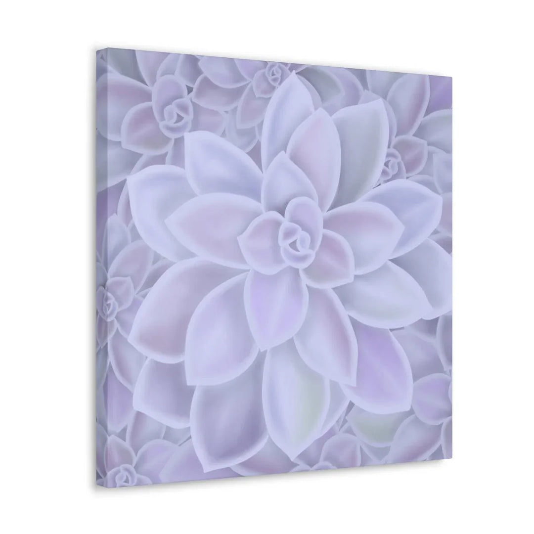 Graptopetalum 'Murasaki' Succulent Canvas, Canvas, Laura Christine Photography & Design, Art & Wall Decor, Canvas, Hanging Hardware, Home & Living, Indoor, Laura Christine Photography & Design, laurachristinedesign.com