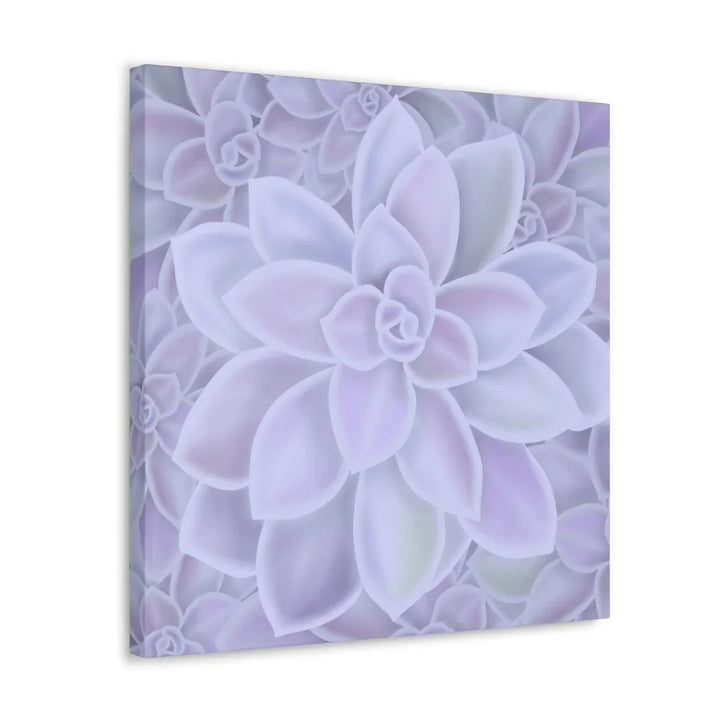 Graptopetalum 'Murasaki' Succulent Canvas, Canvas, Laura Christine Photography & Design, Art & Wall Decor, Canvas, Hanging Hardware, Home & Living, Indoor, Laura Christine Photography & Design, laurachristinedesign.com