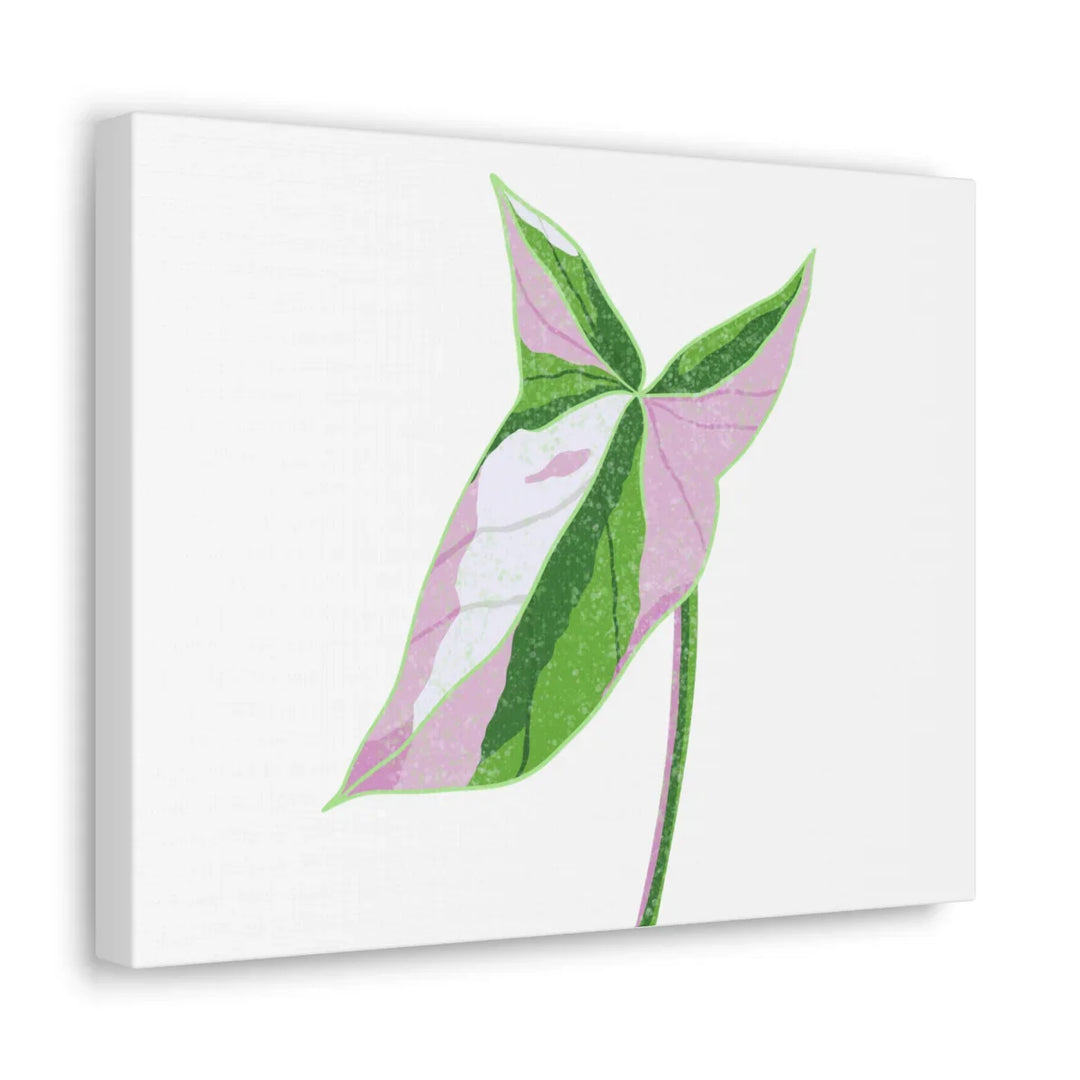 Syngonium Tricolor Canvas | Botanical Canvas Art Print With Matte Finish - Laura Christine Photography & Design