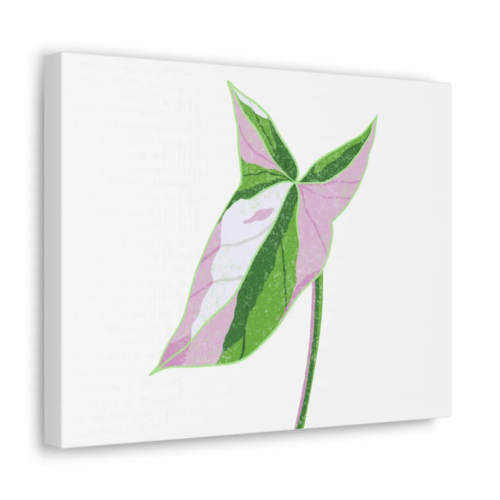 Syngonium Tricolor Canvas | Botanical Canvas Art Print With Matte Finish - Laura Christine Photography & Design