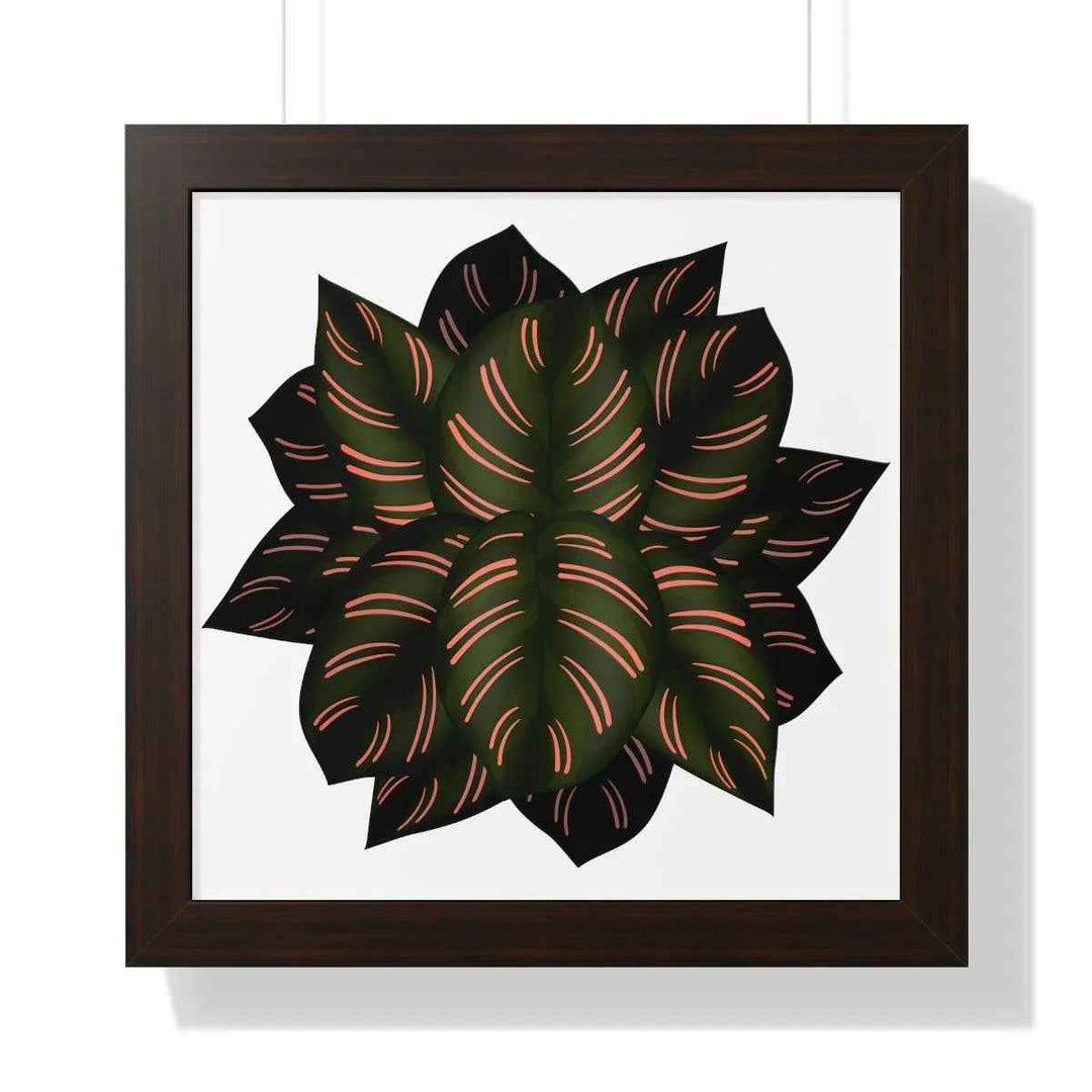 Calathea Pinstripe Print - Framed Botanical Art With Matte Finish & Acrylic Cover