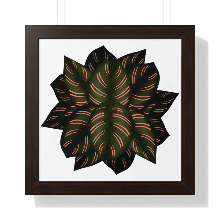 Calathea Pinstripe Print - Framed Botanical Art With Matte Finish & Acrylic Cover