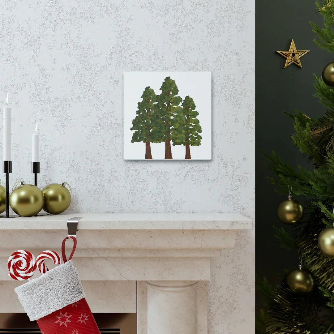 Coastal Redwoods Canvas - Stretched Cotton Canvas Art Print | Matte Finish Wall Hanging Artwork