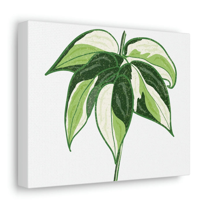 Philodendron Canvas Print - Cream Splash Variegated Plant Art on Matte Cotton Canvas
