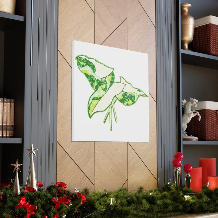 Marble Syngonium Canvas - Botanical Canvas Art Print | Durable Cotton Matte Finish - Laura Christine Photography & Design