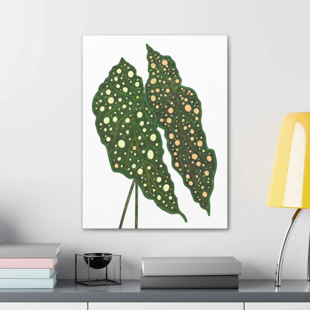 Begonia Maculata Canvas | Premium Canvas Art Print - Matte Finish, Durable Wall Decor - Laura Christine Photography & Design