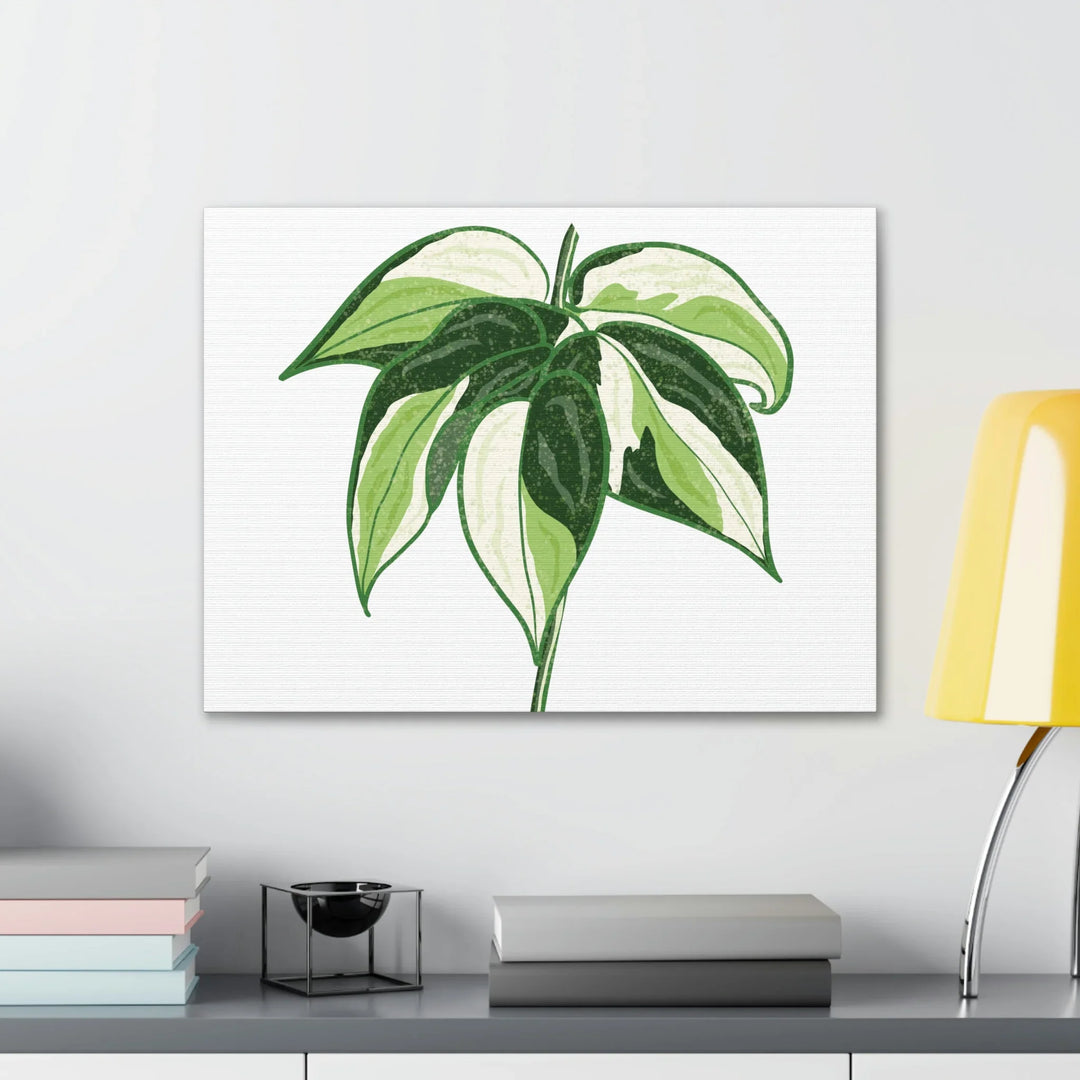 Philodendron Canvas Print - Cream Splash Variegated Plant Art on Matte Cotton Canvas