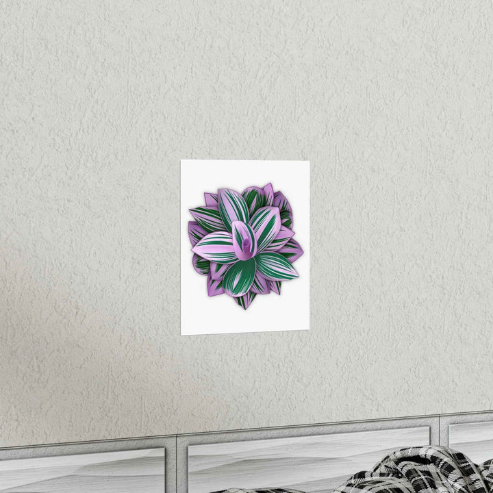 Tradescantia Nanouk Print – Botanical Wall Art on Museum-Grade Paper Poster Unframed