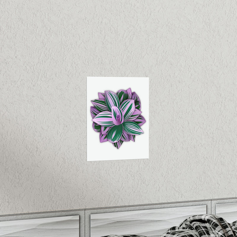 Tradescantia Nanouk Print