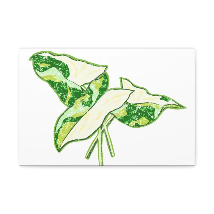 Marble Syngonium Canvas - Botanical Canvas Art Print | Durable Cotton Matte Finish - Laura Christine Photography & Design