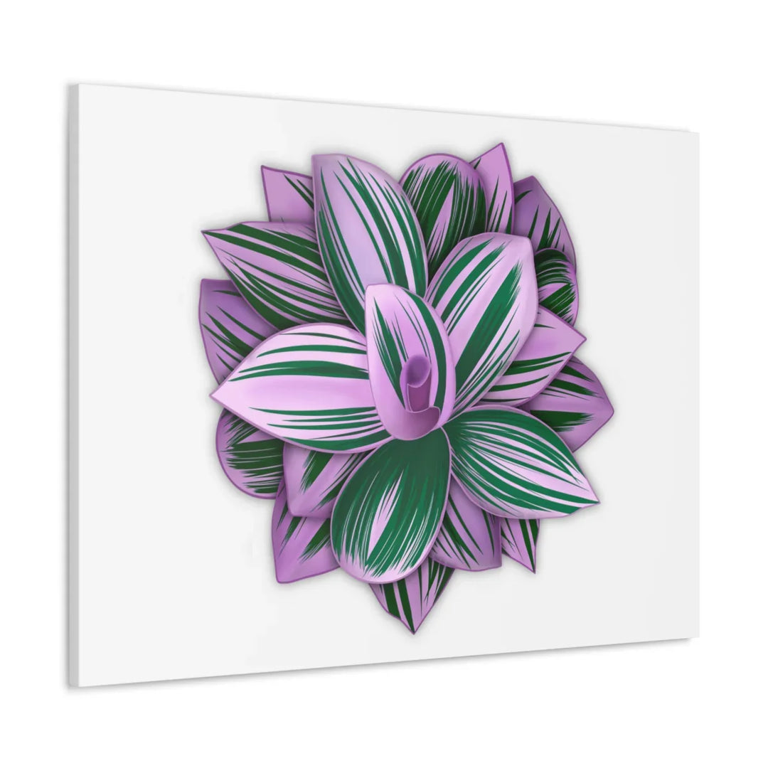 Tradescantia Nanouk Canvas – Botanical Canvas Art Print | Matte Finish Wall Decor - Laura Christine Photography & Design
