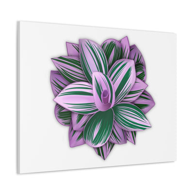 Tradescantia Nanouk Canvas